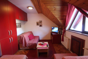 Studio Apartman Aleksandar